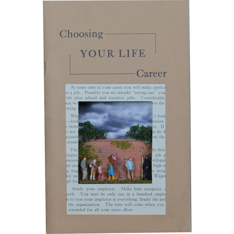 Choosing Your Life Career