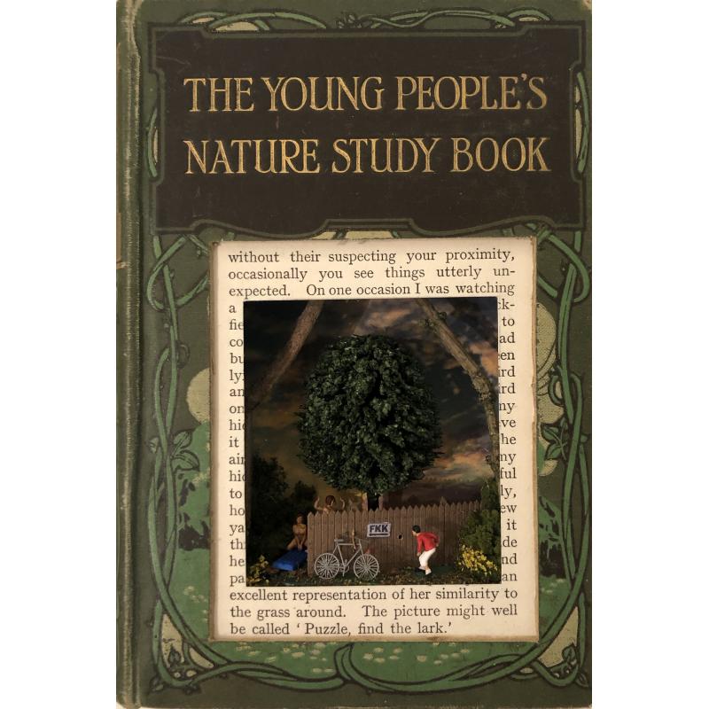 The Young People's Nature Study Book
