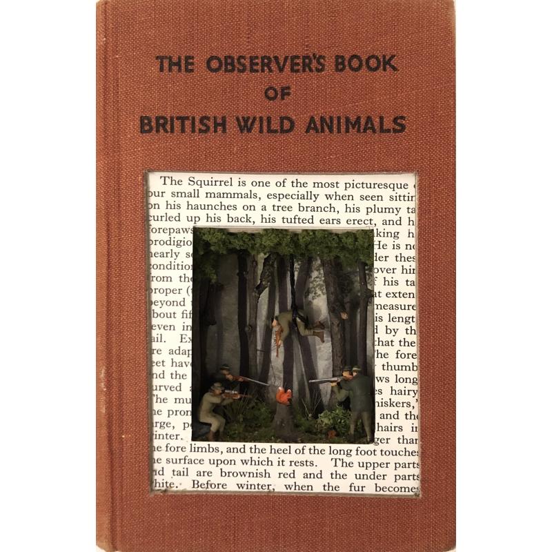 The Observer's Book of British Wild Animals