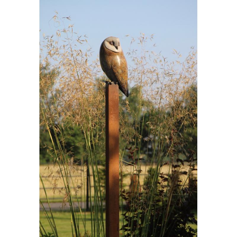 Outdoor Barn Owl