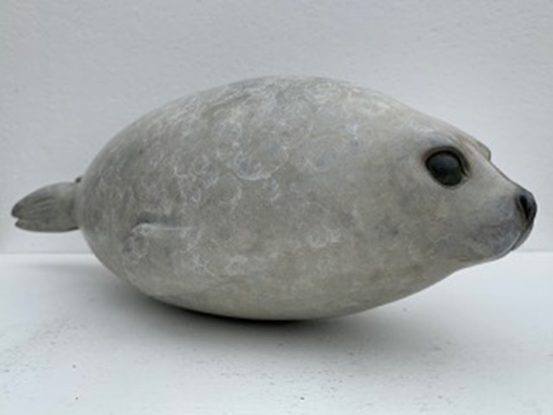 Adam Binder - Harp Seal Pup (2020)