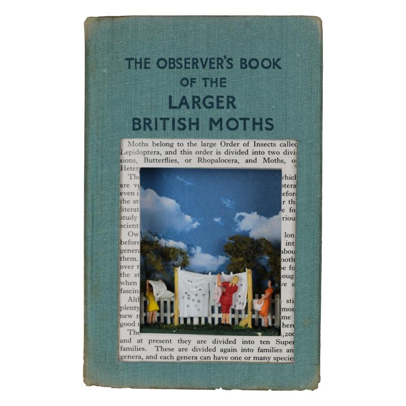 The Observer's Book of Larger British Moths