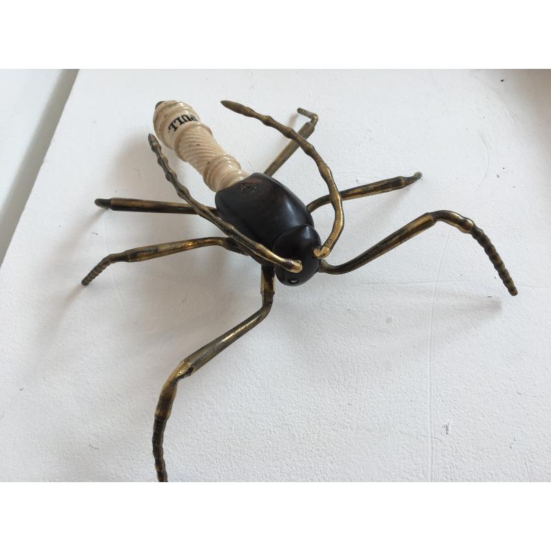 Long Legged Beetle
