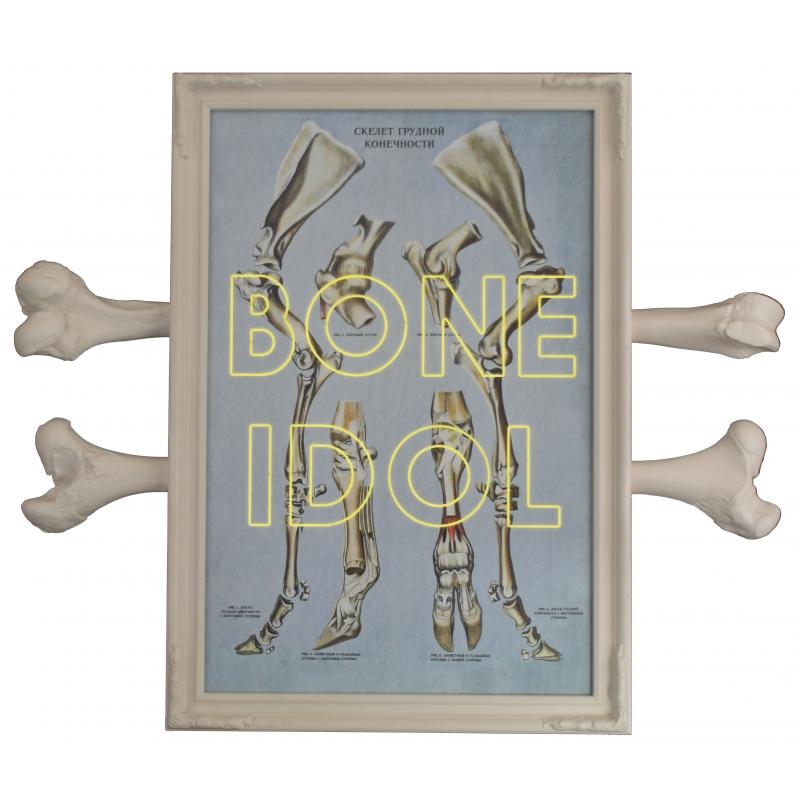 Bone Idol