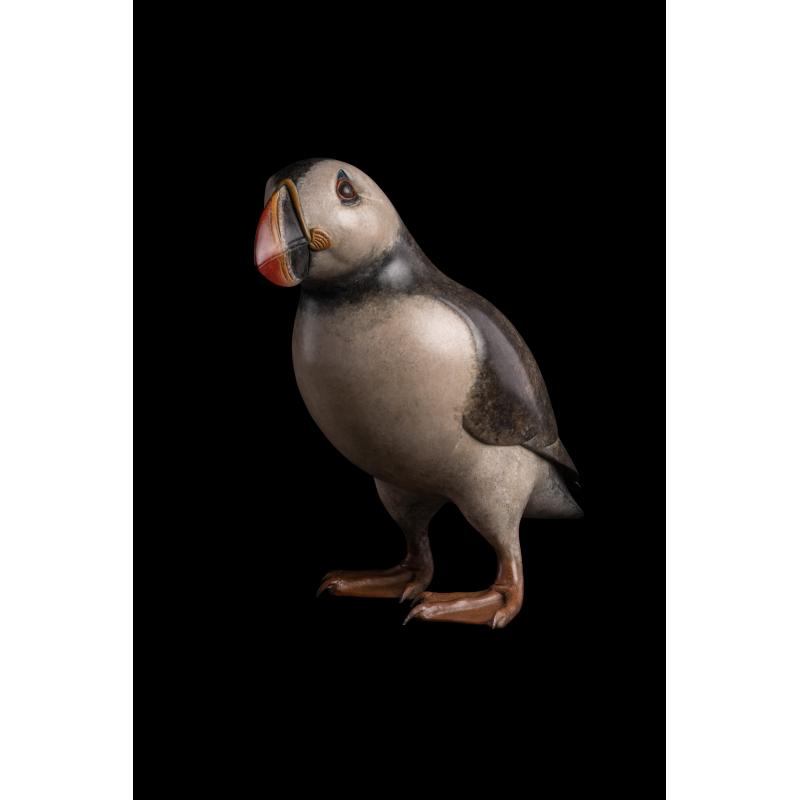 Puffin