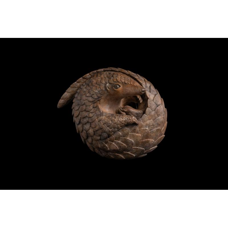 Pangolin
