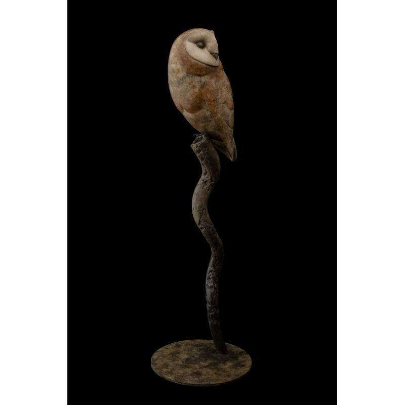 Barn Owl