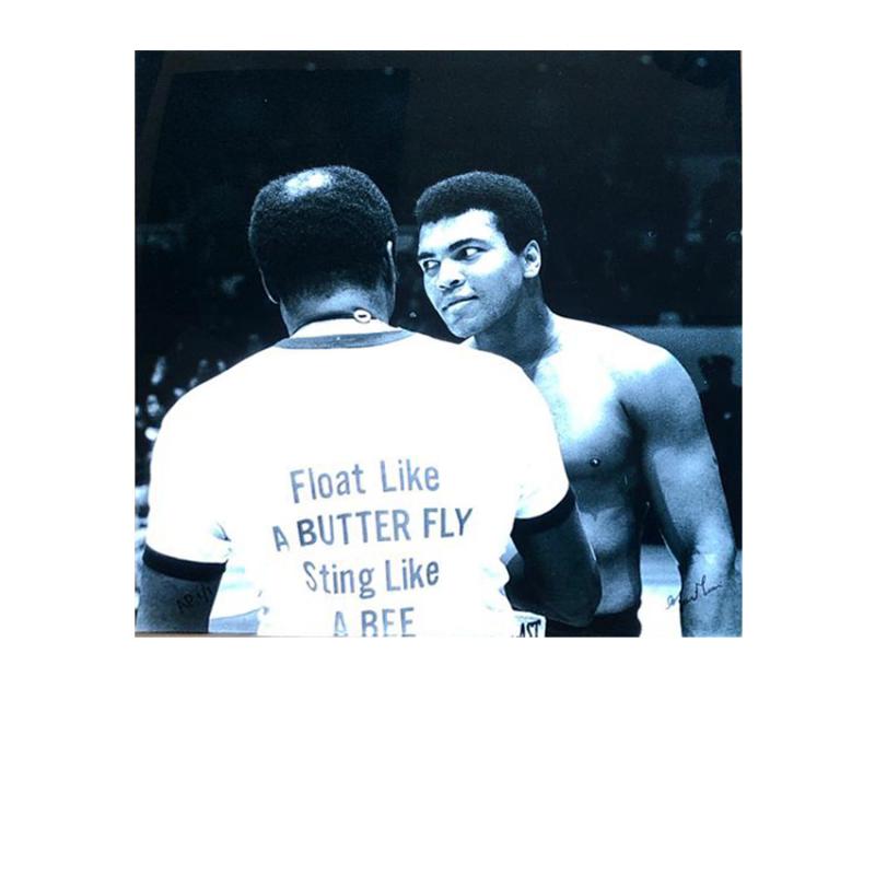 Float Like a Butterfly Sting Like a Bee