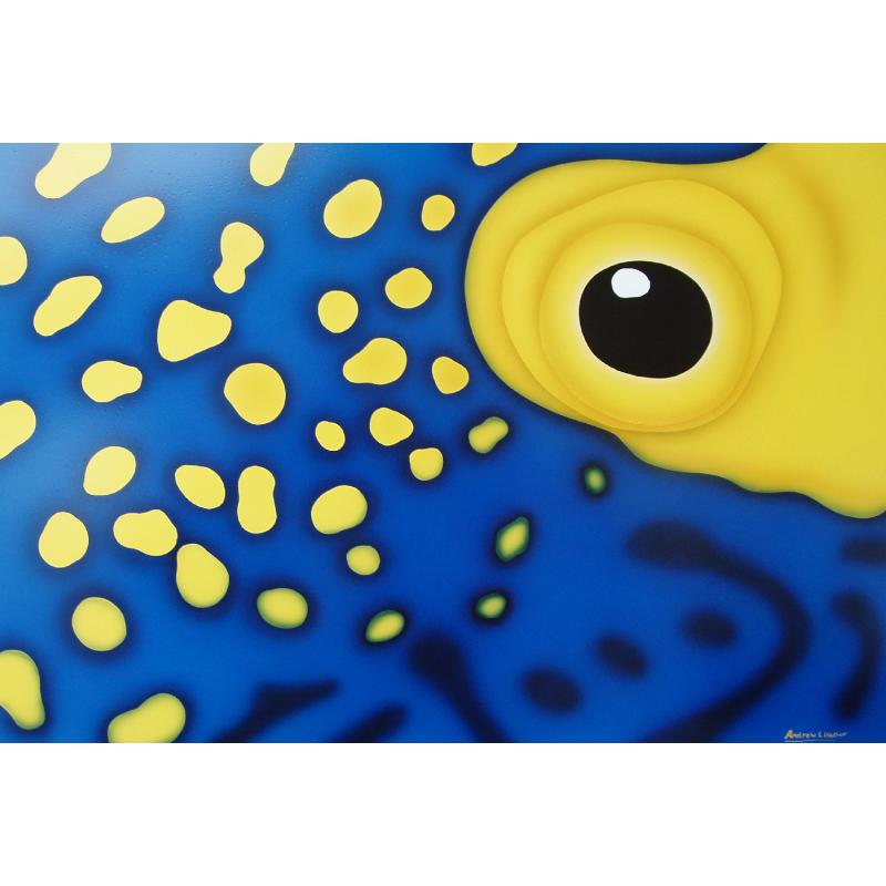 Blue Angel Fish