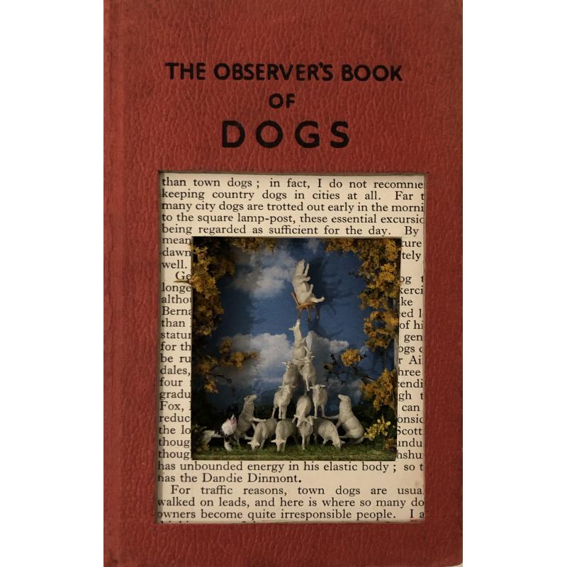 The Observer's Book of Dogs