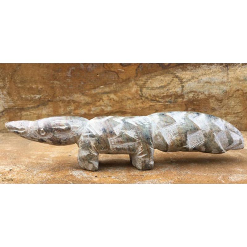Anteater