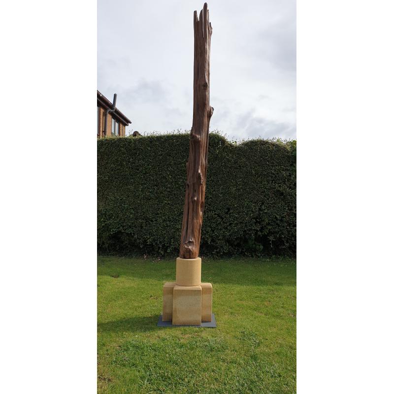 Locust Wood on Clipsham