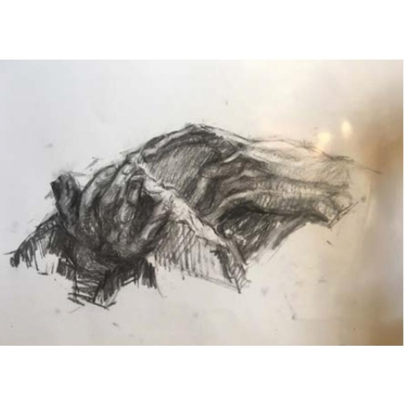 Hands and Book