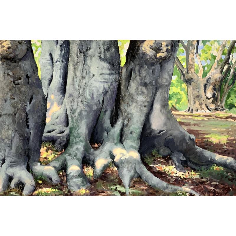 Pollarded Beech, Epping
