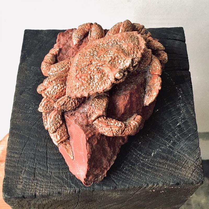 Cromer Crab