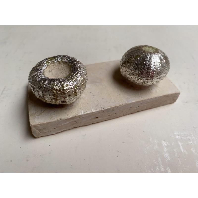 Little Urchins pair