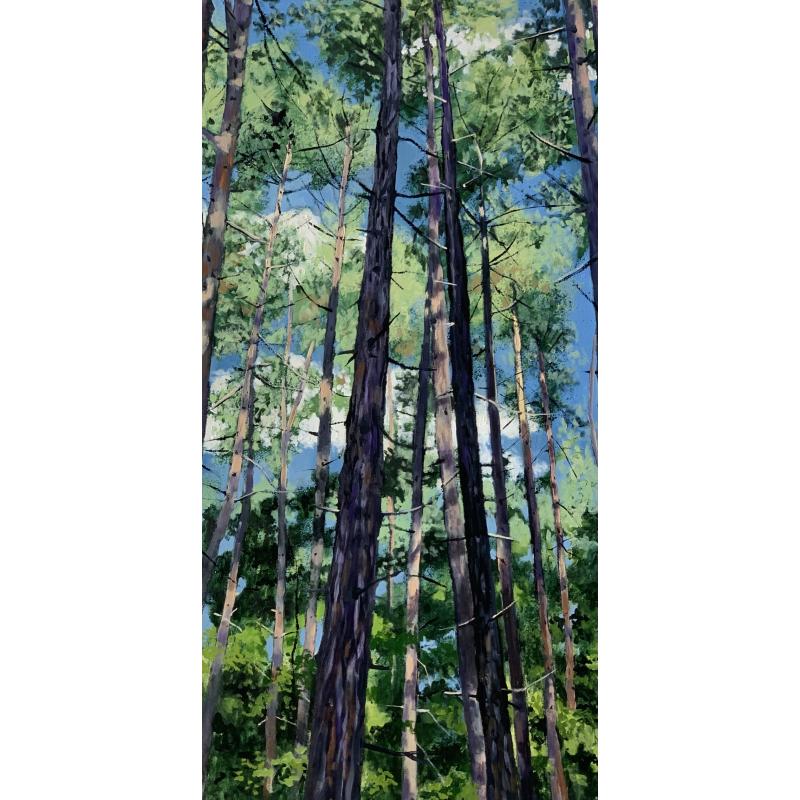Norweigan Pines