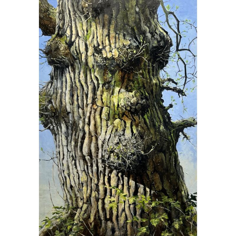 Self Portrait Aged 74