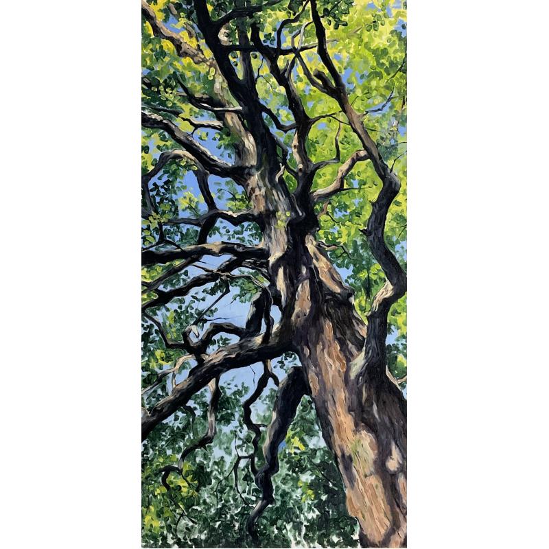 Summer Oak