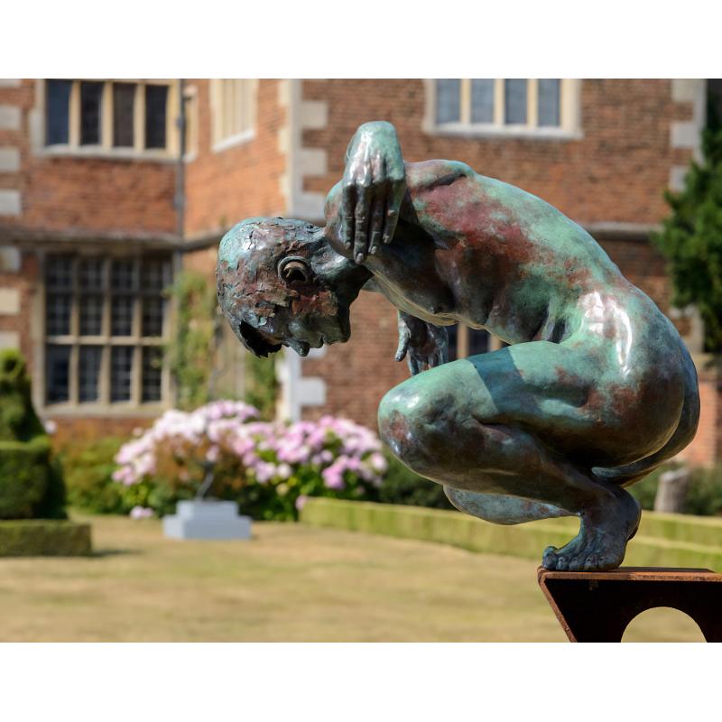 Narcissus
