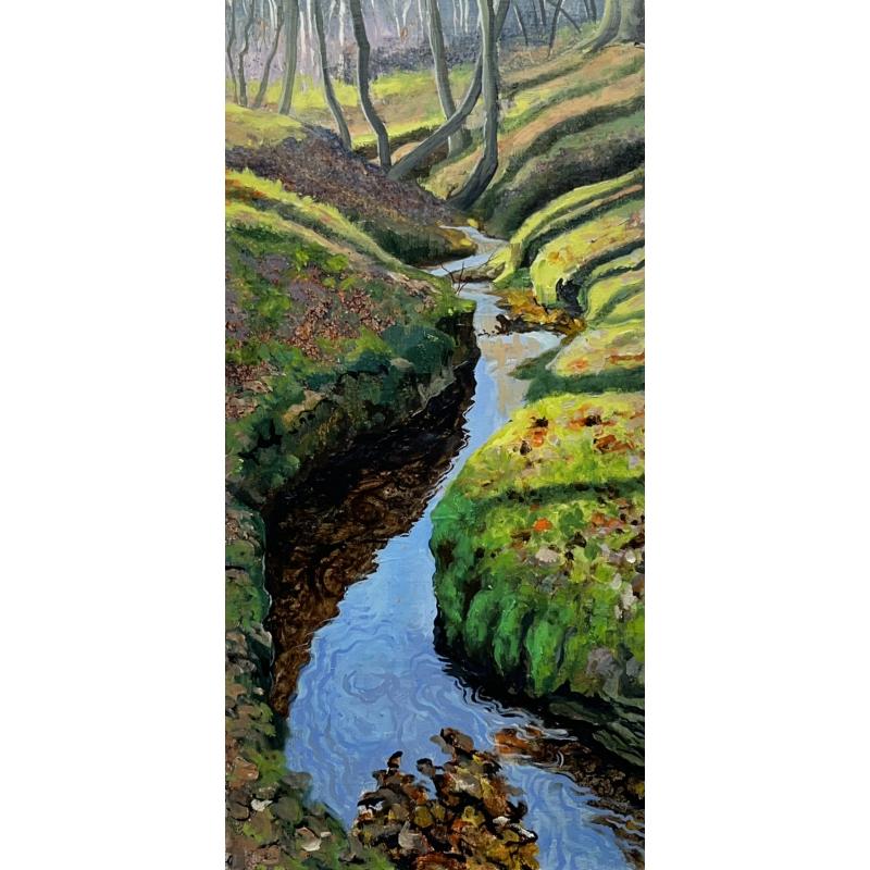 Stream Bank