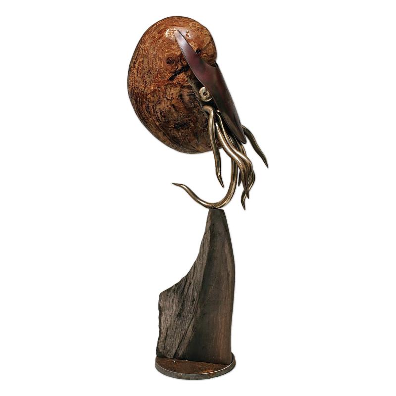 Nautilus