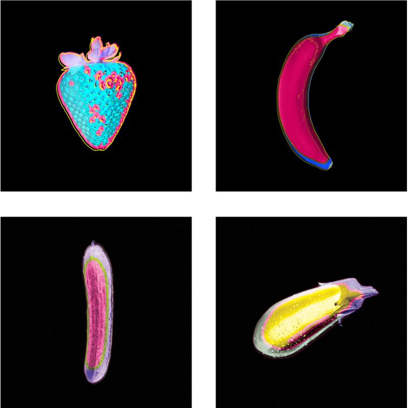Fruity Box Set