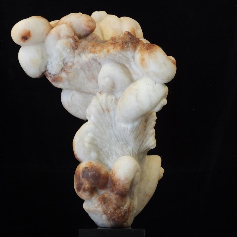 La Tempesta IV
