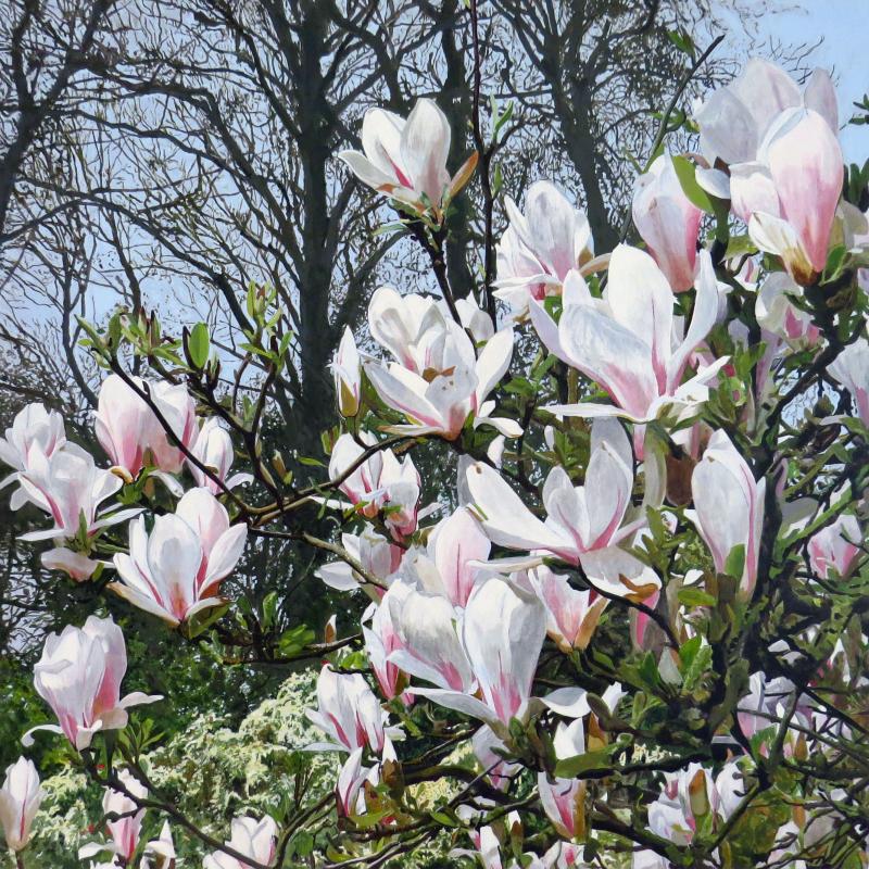 Magnolia at West Acre