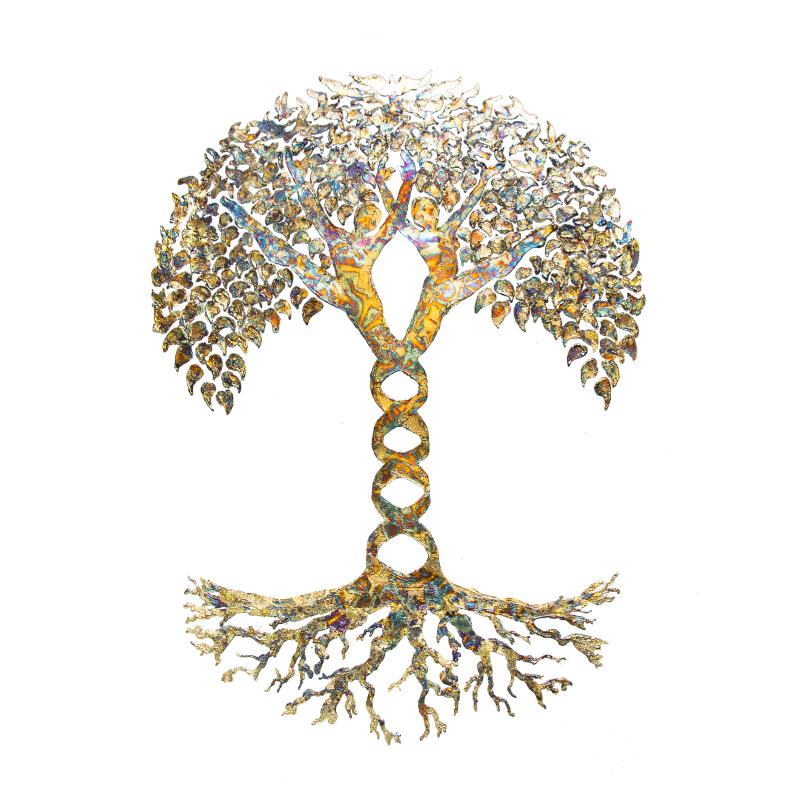 Tree of Life - DNA ?