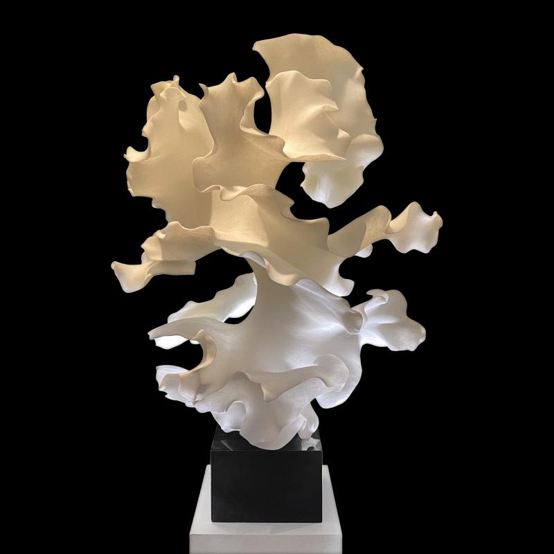 Aleteo Blanco
