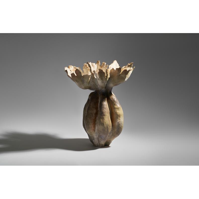 The World of Fungi #4