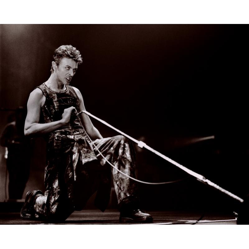 David Bowie
